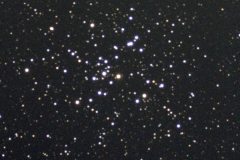 M41